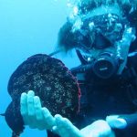 Gökçeada Dalış Merkezi