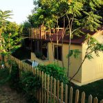 Gökhan’ın Bal Çiftliği