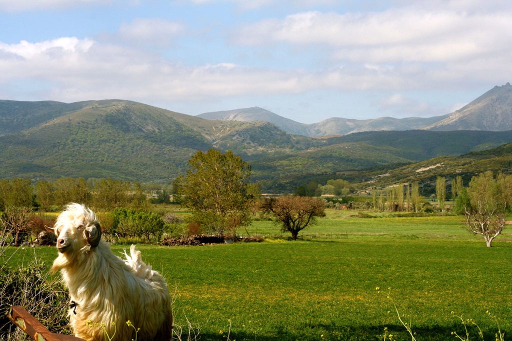 İlk Bakışta Gökçeada