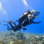 Gökçeada Dalış Merkezi