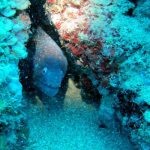 Gökçeada Dalış Merkezi