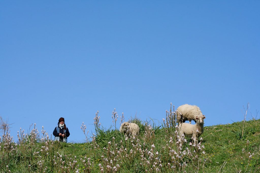 İlk Bakışta Gökçeada