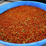 Gökhan’ın Bal Çiftliği