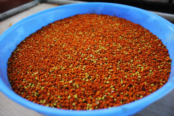 Gökhan’ın Bal Çiftliği