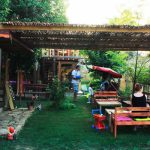 Gökhan’ın Bal Çiftliği