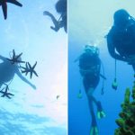 Gökçeada Dalış Merkezi