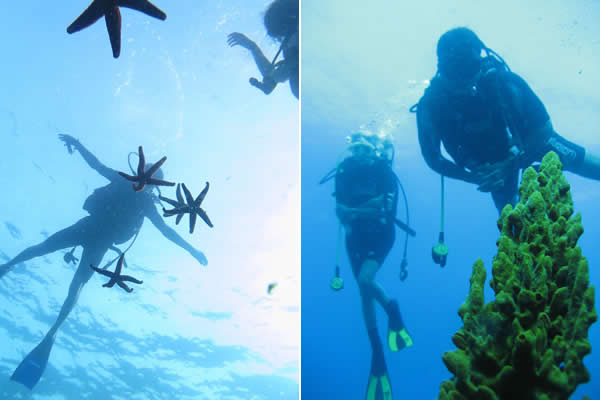 Gökçeada Dalış Merkezi