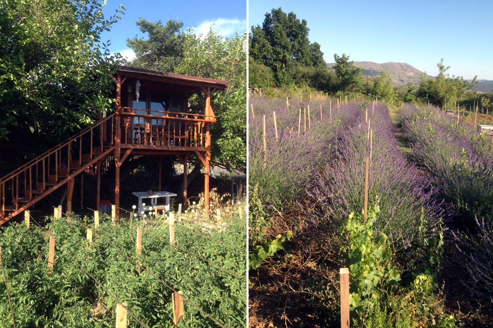 Gökhan’ın Bal Çiftliği