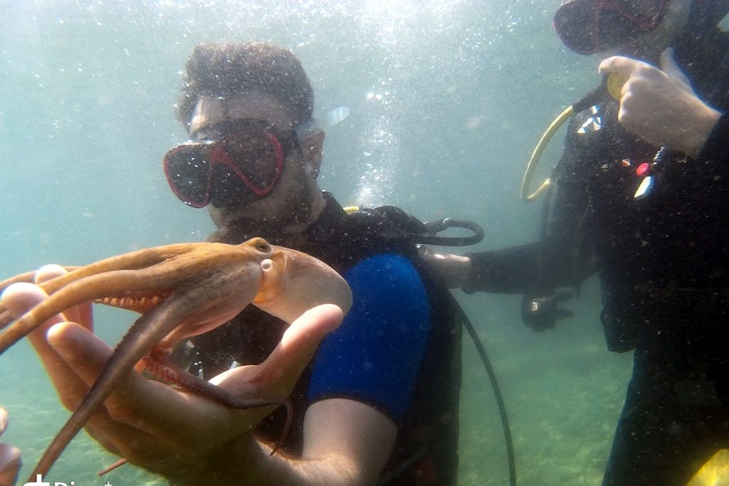 Gökçeada Dalış Merkezi
