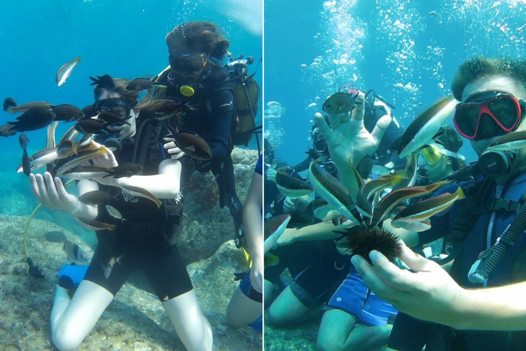 Gökçeada Dalış Merkezi