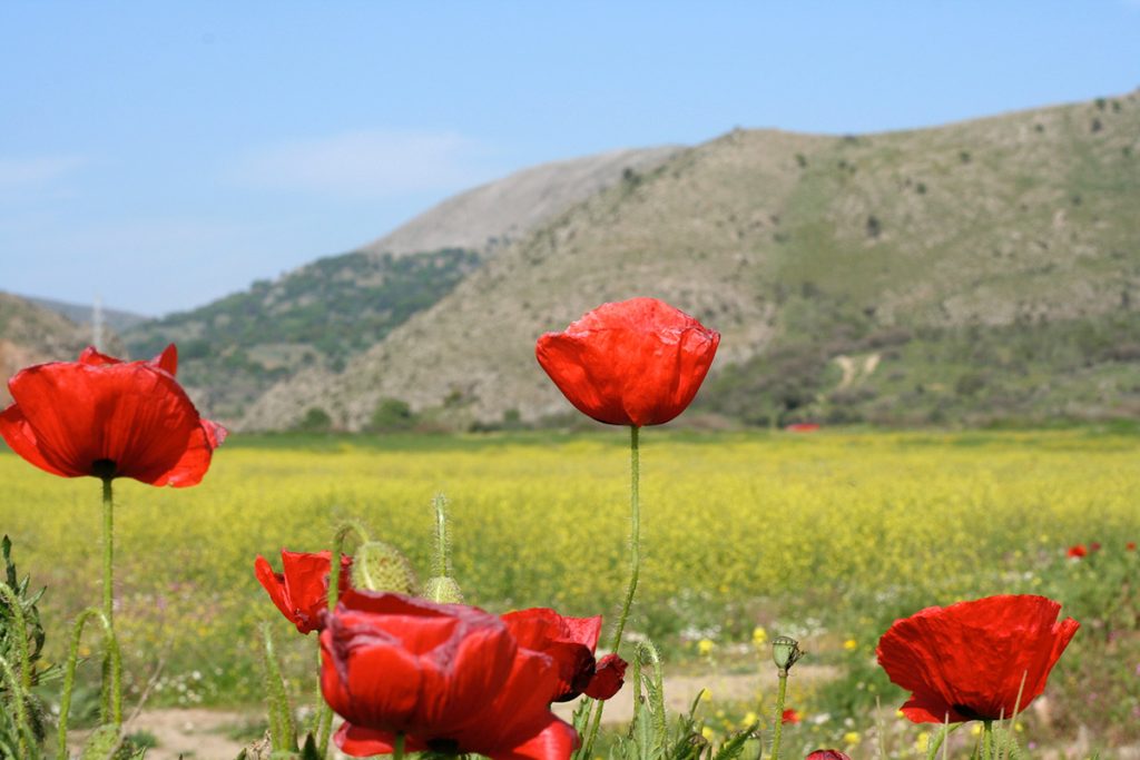 Gökçeada’nın Coğrafyası