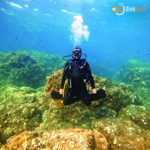 DivePark Dalış Merkezi